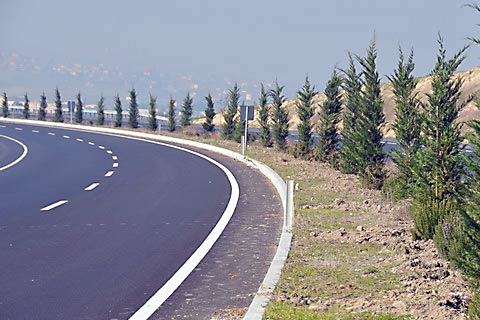 Orman Bölge karayollarını ağaçlandırdı