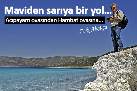 haber