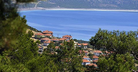 salda-koyu-1