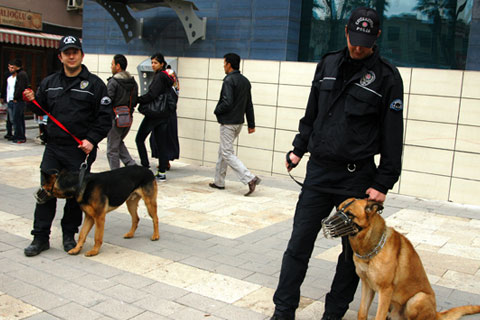 K9’lar toplumsal olaylarda görev yapacak