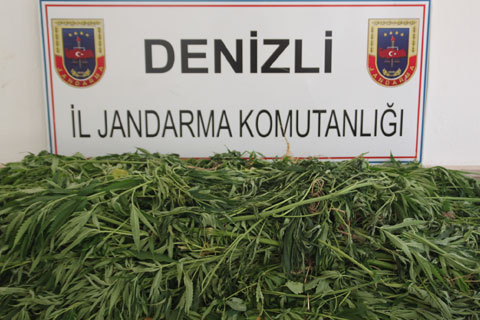6 ilçede 12 ayrı operasyon: 14 gözaltı
