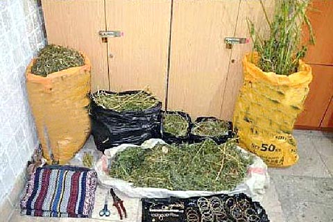 10 Kilo esrar ele geçirildi