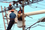 2 ilçe 8 mahallede elektrik kesintisi
