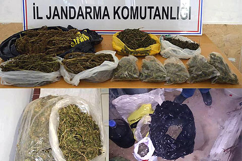 7 kilo esrar 634 kök kenevir ele geçirdi