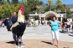 Pamukkale’ye Denizli Horozu heykeli
