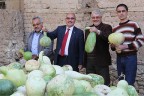 Su kabağı çiftçinin  geçim kaynağı oldu