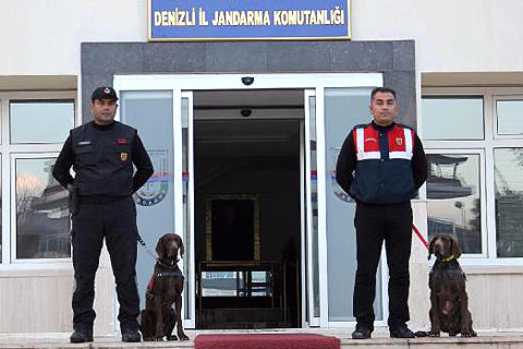 Jandarmanın gözbebekleri ‘vaşak’ ile ‘ahir’