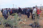 PAÜ öğrencilerden ağaçlandırmaya destek