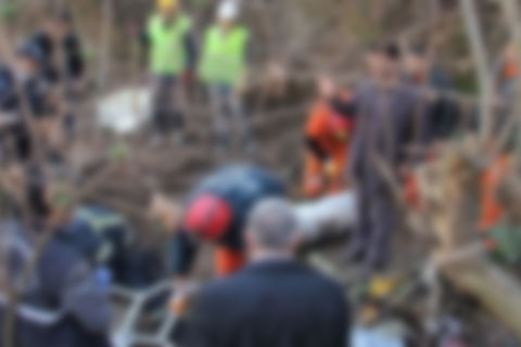 Cesedi ormanda bulundu