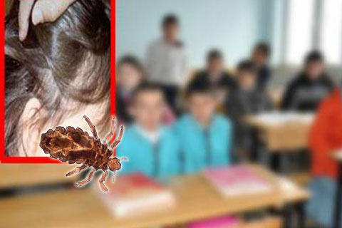 Denizli’de bit salgını velilerin derdi oldu ama?