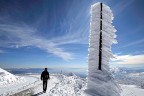 DEFSAD, Avusturya’da altın madalya kazandı   