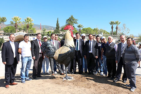 Denizli horozu kaçak çıktı