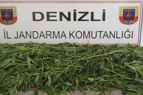 7 ilçede uyuşturucu operasyonu