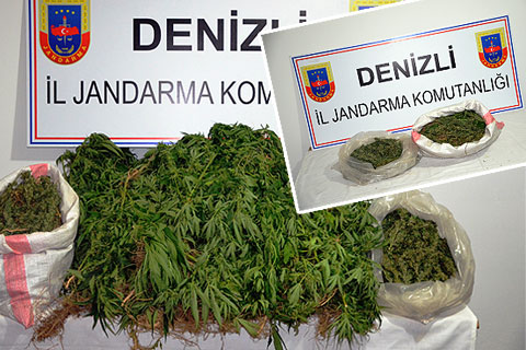 Jandarmadan 3 ilçede uyuşturucu operasyonu