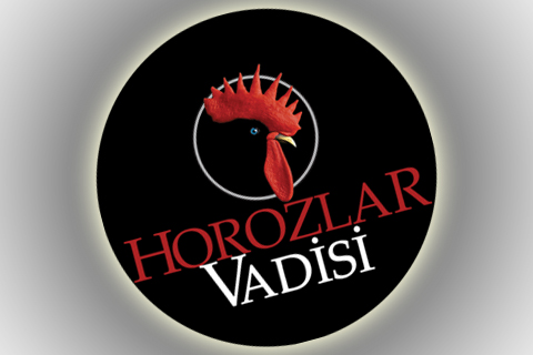 BU NE LAHANA BU NE PERHİZ!