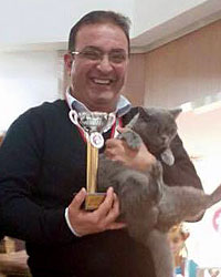 denizlili-kedi-sans-istanbul-daki-yarimsada-turkiye-birincisi-oldu-ic