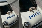Polis otosu üzerinde güneşlendi