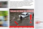 TİMSAH  BU KEZ ŞEHRİN ORTASINDA