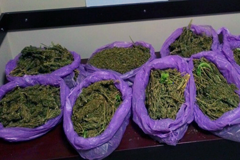 Narkotim operasyonunda 7.3 kilo esrar ele geçirildi