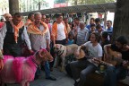 Tanıtım koyun ve çoban köpekleriyle