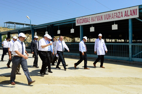 Kurumlara 20 maddelik kurban talimatı