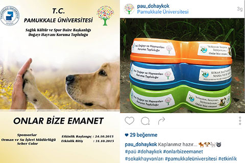 Bu kampanya ile sokak hayvanlarına ulaşılacak