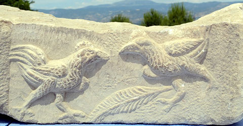 denizli-seval-uysal-denizli-nin-simgesi-neden-horozdur-3