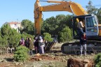 O ağaçları taşıdılar