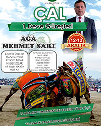 denizli-cal-deve-guresi-ic