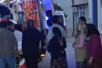 Yaban domuzu kadına saldırdı
