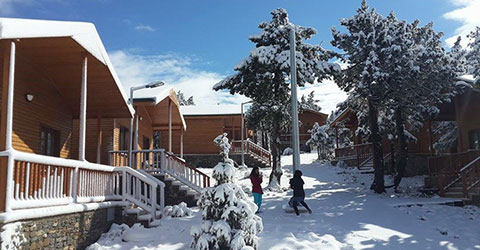 denizli-bagbasi-yaylasi-kara-burundu-3