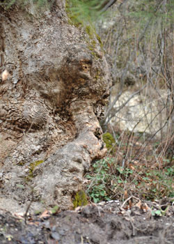 zeki-akakca-gezenin-gunlugu-dik-6