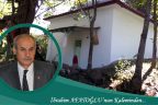 Mustafa Baba Türbesi’ndeki çınarın sırrı