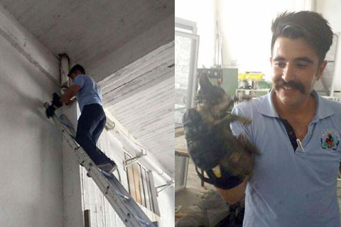 İtfaiyenin kedi kurtarma operasyonu