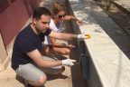 Vekil, gençlerle birlikte okul boyadı