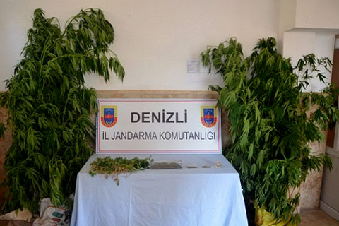 Jandarmadan 10 günde 22 uyuşturucu operasyonu
