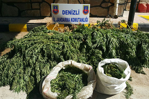 Jandarma operasyonunda 8 kilo esrar ele geçirildi