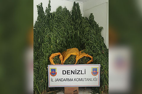 Jandarma’dan büyük operasyon