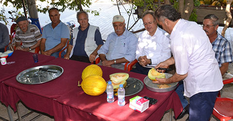 denizli-tavas-ebecik-kavunu-hasadi-1