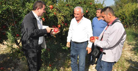 denizli-hicaz-nari-dalda-kaldi-1