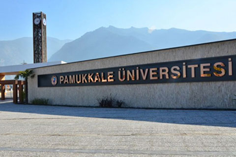 PAÜ’den ihraç edilenlerin tam listesi