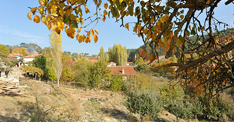 denizli-zeki-akakca-gezenin-gunlugu-sonbahar-21