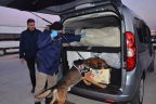 Denizli’de asayiş uygulaması