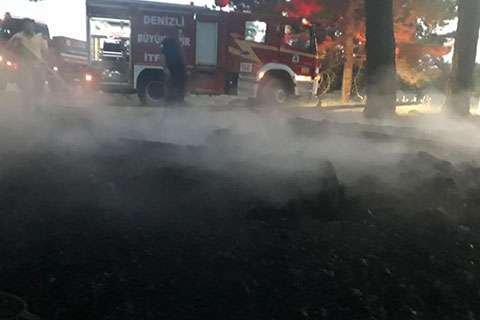Kefe Yaylası’nda korkutan yangın
