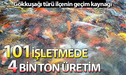 Çameli’de 101 işletmede 4 bin ton alabalık üretiliyor