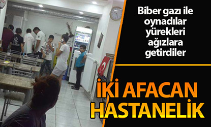 İki afacan hastanelik oldu