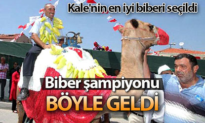 Biber şampiyonu, biber süslü deveyle geldi