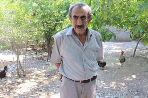 Tatile gitti, tavukları çalındı