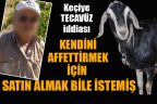 Bekilli’de keçiye tecavüz iddiası