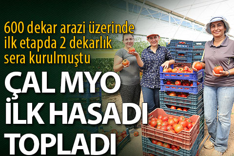 Çal MYO ilk hasadı yaptı